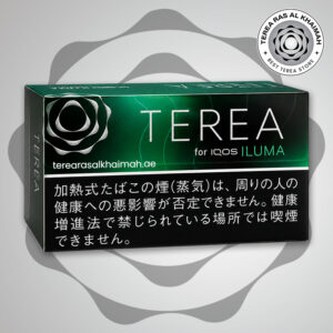 TEREA Black Menthol Japan