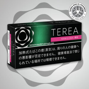 Terea Black Yellow Menthol Japan
