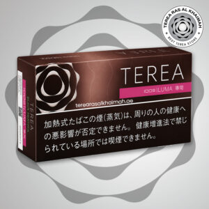 TEREA Bold Regular Japan